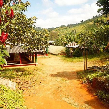 Caficultur -Alojamiento Rural Buenavista  エクステリア 写真