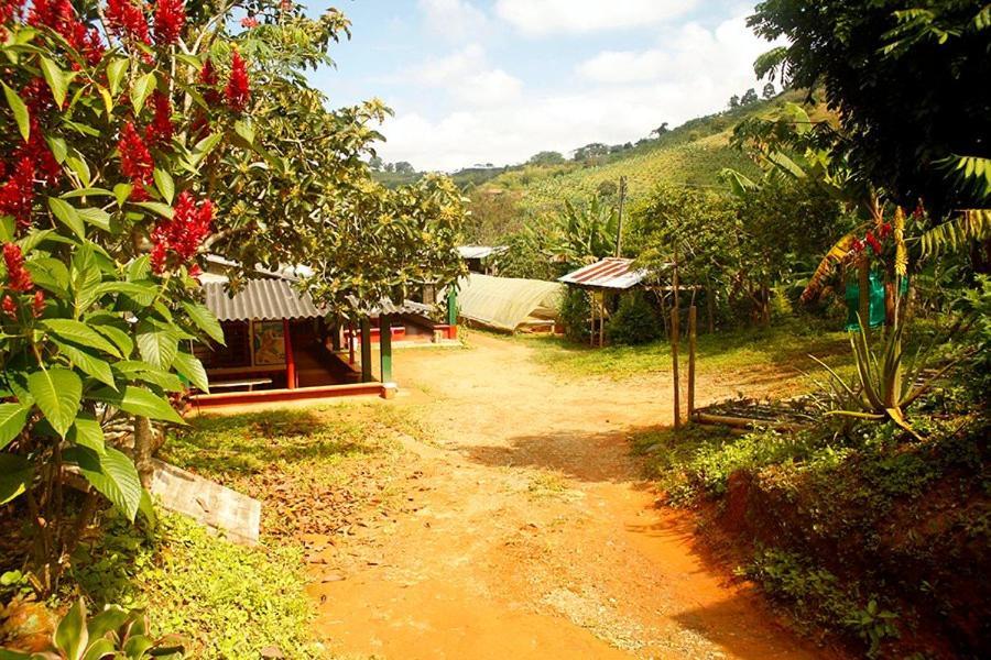 Caficultur -Alojamiento Rural Buenavista  エクステリア 写真