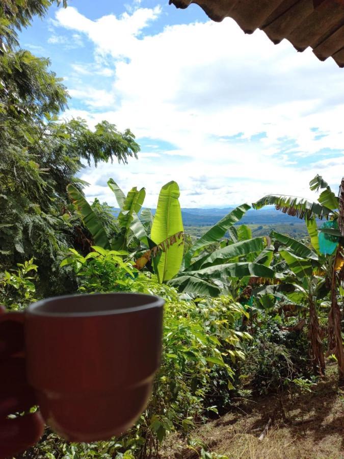 Caficultur -Alojamiento Rural Buenavista  エクステリア 写真