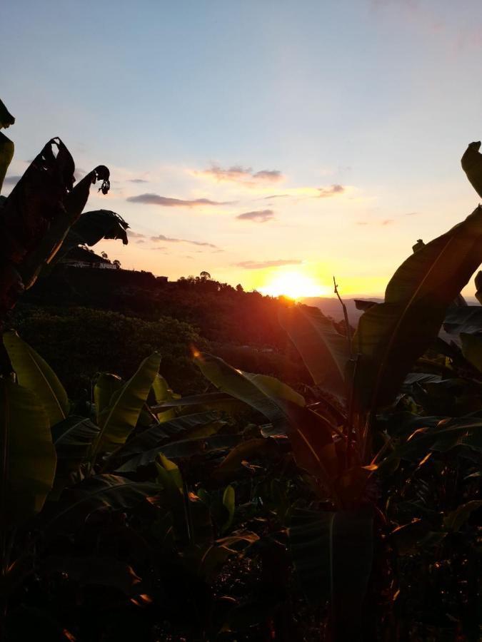 Caficultur -Alojamiento Rural Buenavista  エクステリア 写真