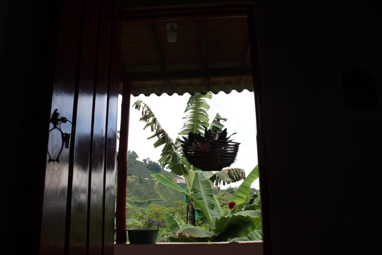 Caficultur -Alojamiento Rural Buenavista  エクステリア 写真