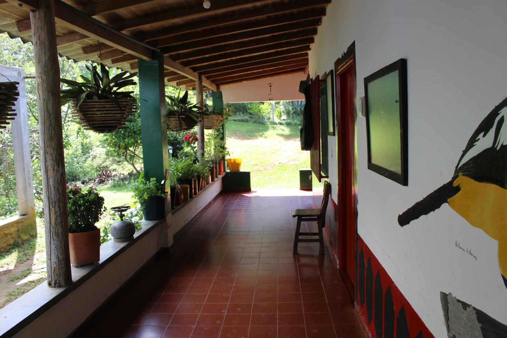 Caficultur -Alojamiento Rural Buenavista  エクステリア 写真